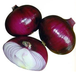 產(chǎn)品介紹：<br/>　　中日照類型，紫紅色，球扁圓形，單球重350g左右，高產(chǎn)，紫色素深，非常適合色拉點(diǎn)綴，商品價(jià)值高。本品中屬紫皮洋蔥系中的早熟品種。
