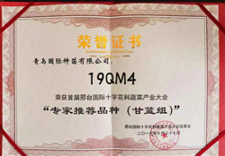 19QM4榮獲首屆邢臺國際十字花科蔬菜產業大會"專家推薦品種(甘藍組)"