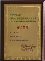 山東國際蔬菜種業博覽會推介品種 甘藍琴萌123