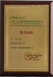 山東國際蔬菜種業博覽會推介品種 甘藍琴萌1514