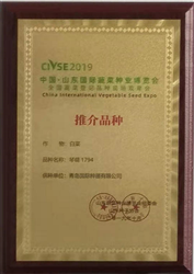 山東國際蔬菜種業博覽會推介品種 白菜琴萌1794